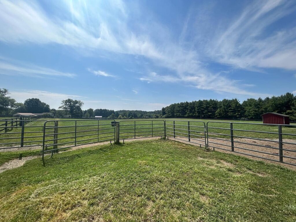 Horse Field Boarding Near Me In Lovettsville Loudoun County